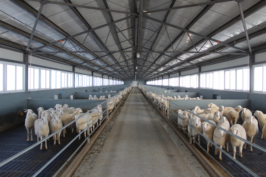 當(dāng)好產(chǎn)業(yè)扶貧主力軍，打贏脫貧攻堅(jiān)戰(zhàn)